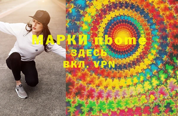 мдпв Пестово