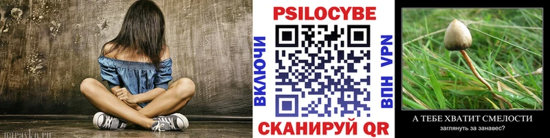 Псилоцибиновые грибы прущие грибы Сорск