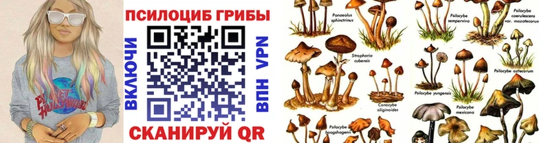 купить наркотики сайты  Сорск  Галлюциногенные грибы мицелий 